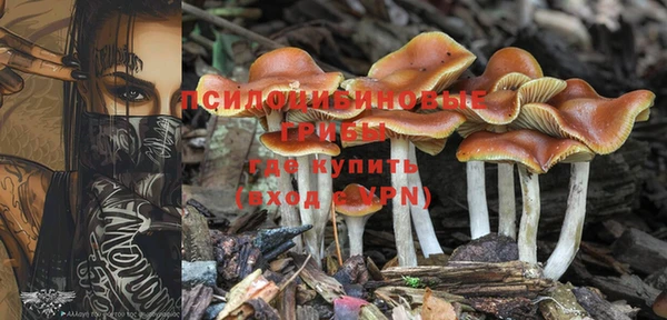первитин Володарск