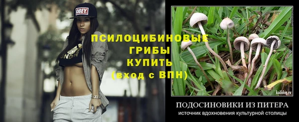 прущий лед Волосово