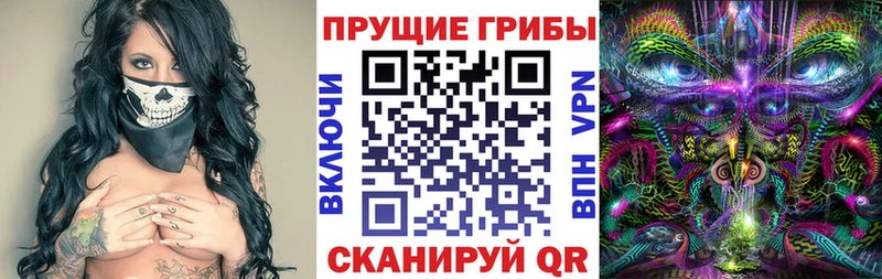 Галлюциногенные грибы Psilocybine cubensis  Инсар 