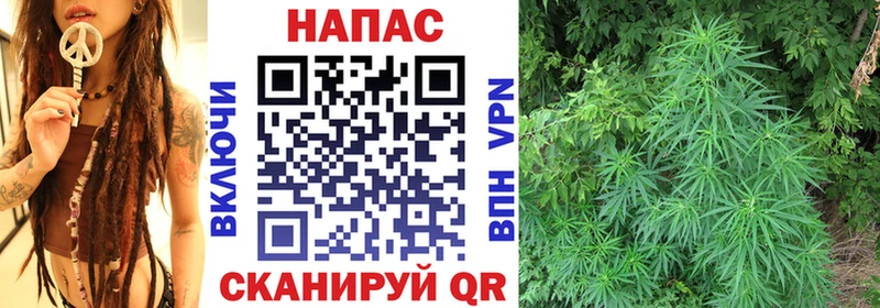 Каннабис конопля  наркота  Инсар 